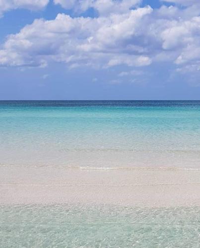 Beach, Manidibianco Apulian Relaxing Stay in Turi Beach, Manidibianco Apulian Relaxing Stay in Turi