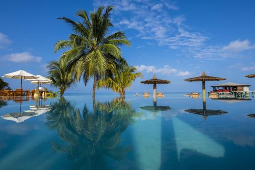 Swimming pool, Centara Ras Fushi Resort & Spa Maldives - 50% off on transfers for min stay 4 nights till 22 Dec '25 in North Male Atoll Swimming pool, Centara Ras Fushi Resort & Spa Maldives - 50% off on transfers for min stay 4 nights till 22 Dec '25 in North Male Atoll