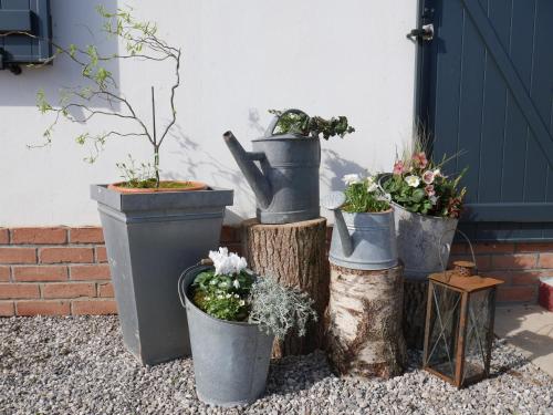 Opale des Caps in Leubringhen Opale des Caps in Leubringhen