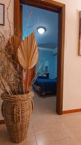 Hotel mediterraneo in Giovinazzo Hotel mediterraneo in Giovinazzo