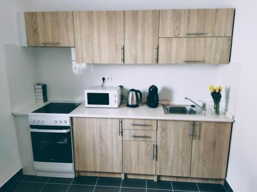 المرافق, Penzion Janoušek Motorsport Český Krumlov (Penzion Janousek Motorsport Cesky Krumlov) in هراديك Jindrichuv المرافق, Penzion Janoušek Motorsport Český Krumlov (Penzion Janousek Motorsport Cesky Krumlov) in هراديك Jindrichuv