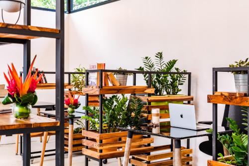 Restaurant, In the Shade Hotel - Coworking - 300Mbit - Adults Only in Tamarindo Restaurant, In the Shade Hotel - Coworking - 300Mbit - Adults Only in Tamarindo