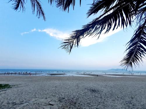 Beach, Khach san Phuong Dung in Cua Lo Beach Beach, Khach san Phuong Dung in Cua Lo Beach
