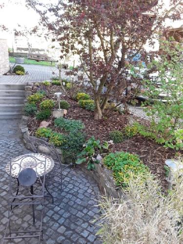 Garden, Ferienwohnung - Zimmervermietung Ringelmann in Dettelbach Garden, Ferienwohnung - Zimmervermietung Ringelmann in Dettelbach