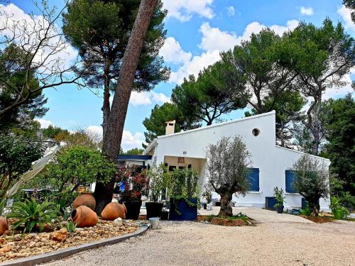 Exterior view, UN OASIS EN PROVENCE in Eoures Exterior view, UN OASIS EN PROVENCE in Eoures