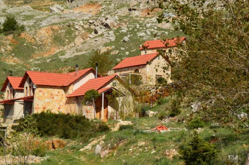 منتجع سهى فيلدج (Soha Village Resort) in فالوغا منتجع سهى فيلدج (Soha Village Resort) in فالوغا
