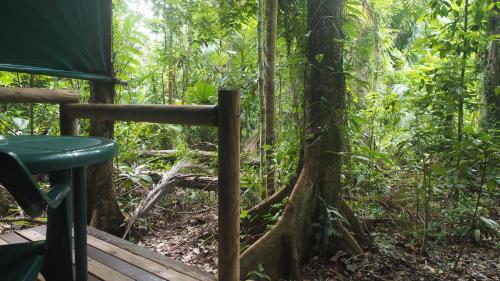 Daintree Crocodylus Village in Daintree Daintree Crocodylus Village in Daintree