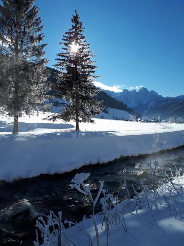 Cerca de lugares turísticos, Transylvania Villa & Spa in Gosau Cerca de lugares turísticos, Transylvania Villa & Spa in Gosau
