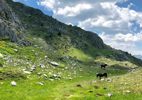 المنطقة المحيطة, Katun Kuline in اندريجيفيكا المنطقة المحيطة, Katun Kuline in اندريجيفيكا