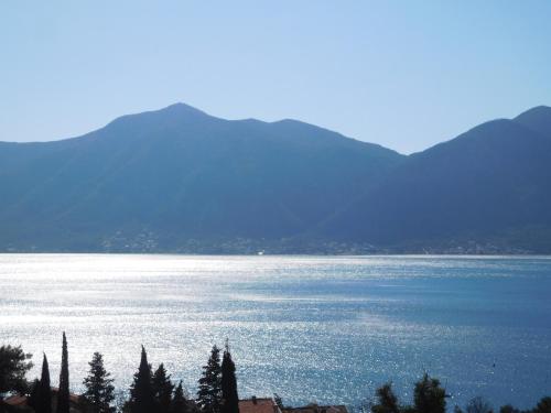 Villa Aronija in أوراهوفاك Villa Aronija in أوراهوفاك