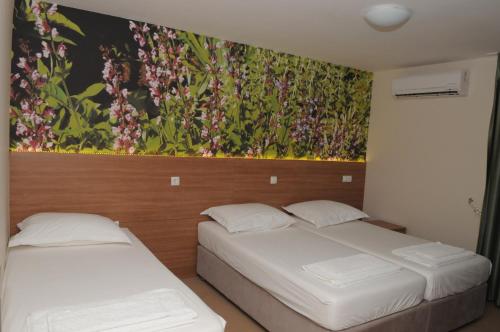 Guest House Ostojic in Bijakovici Guest House Ostojic in Bijakovici