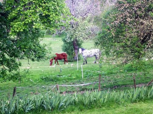 Legrandpressoir in Gonneville Sur Honfleur Legrandpressoir in Gonneville Sur Honfleur