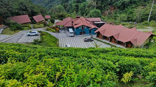 外部景觀, TREE TREK BOQUETE Adventure Park in 洛斯納蘭霍斯 外部景觀, TREE TREK BOQUETE Adventure Park in 洛斯納蘭霍斯