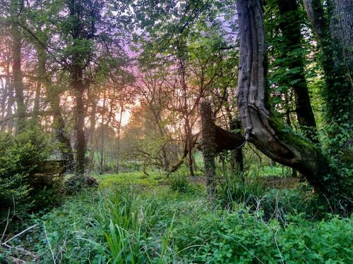Otoczenie, Lacken Millhouse and Gardens in Cavan Otoczenie, Lacken Millhouse and Gardens in Cavan