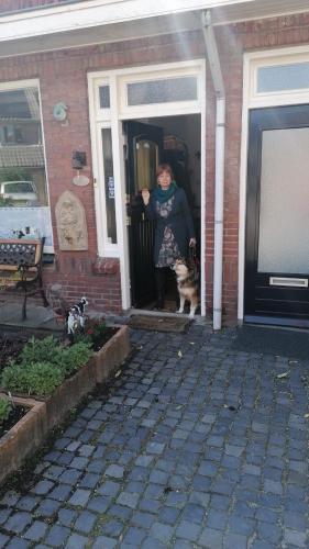 B&B Bij de koeien in Tubbergen B&B Bij de koeien in Tubbergen