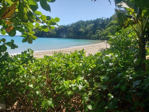 plage, Sea Shell Palms, Ocho Rios in Ocho Rios plage, Sea Shell Palms, Ocho Rios in Ocho Rios