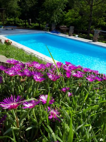 Kolam renang, La Lacia in Acqui Terme Kolam renang, La Lacia in Acqui Terme