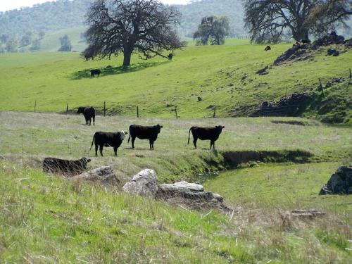 This photo about Hamlet Motel shared on HyHotel.com