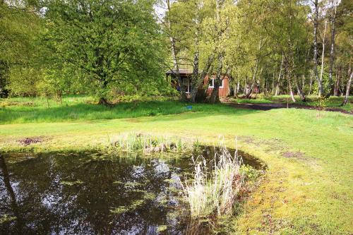 View, The Cabin at Easter Arr in Cawdor View, The Cabin at Easter Arr in Cawdor