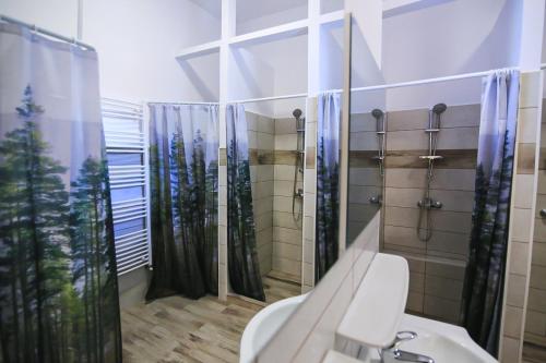 Ванна кімната, Viva la Vida Hostel in Брашов Ванна кімната, Viva la Vida Hostel in Брашов
