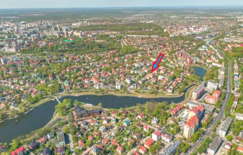 Kiwi Apart in Kaliningrad Kiwi Apart in Kaliningrad