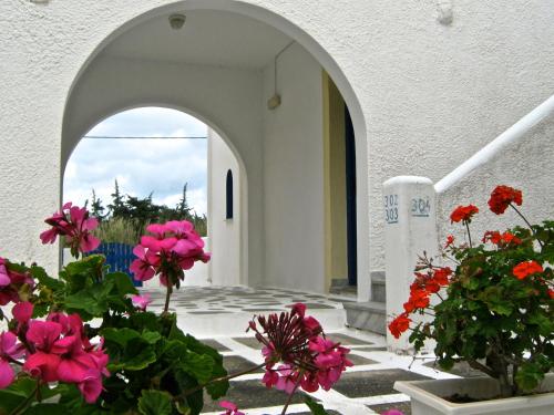 ทางเข้า, Damias Village in เกาะเพรอส ทางเข้า, Damias Village in เกาะเพรอส