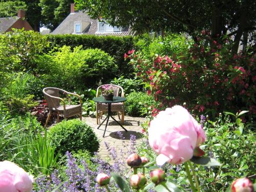 balkon/taras, B&B De Esdoorn in Noordenveld balkon/taras, B&B De Esdoorn in Noordenveld