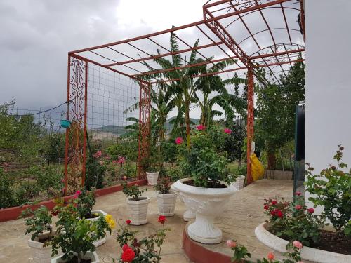 VILLA de LUXE in Constantine VILLA de LUXE in Constantine