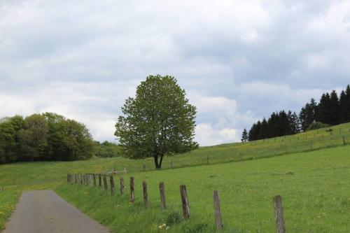 Eifelhaus LandLuft mit Infrarotkabine in Berlingen Eifelhaus LandLuft mit Infrarotkabine in Berlingen