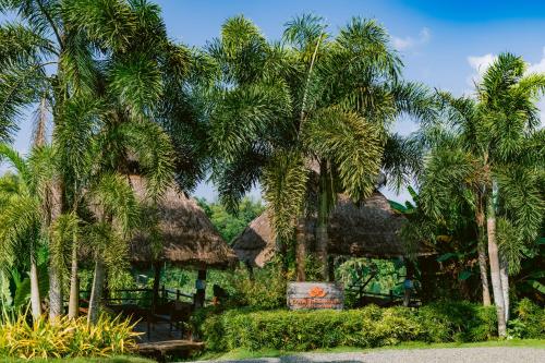 Garden, Damires Hills Farm and Spa Resort in Janiuay Garden, Damires Hills Farm and Spa Resort in Janiuay