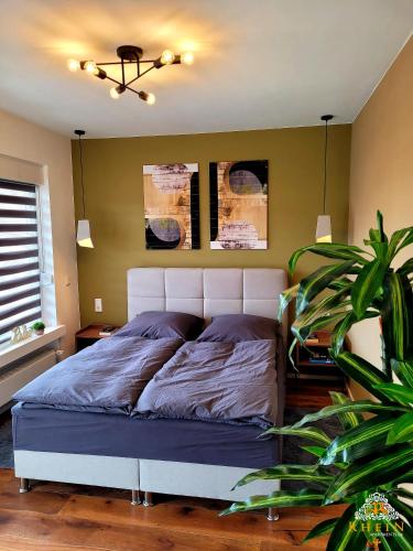 Top Modernes Rhein Apartment Vallendar mit Balkon in Vallendar Top Modernes Rhein Apartment Vallendar mit Balkon in Vallendar