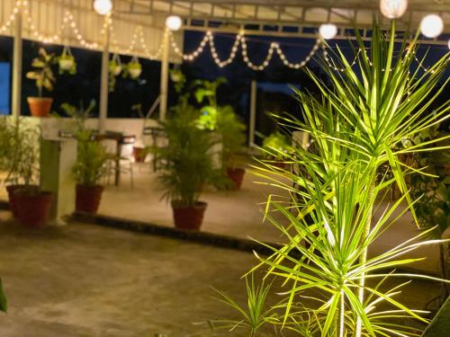Balcony/terrace, La Paradise Residency in Pondicherry - Cuddalore ECR Road Balcony/terrace, La Paradise Residency in Pondicherry - Cuddalore ECR Road