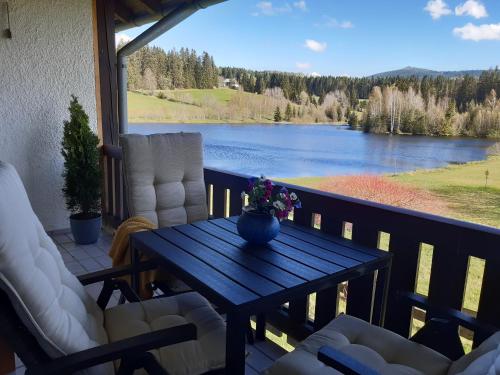 Ferienwohnung am See in Haidmuhle Ferienwohnung am See in Haidmuhle