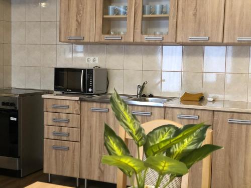 Dapur, Alina apartmanok in Hajduszoboszlo Dapur, Alina apartmanok in Hajduszoboszlo
