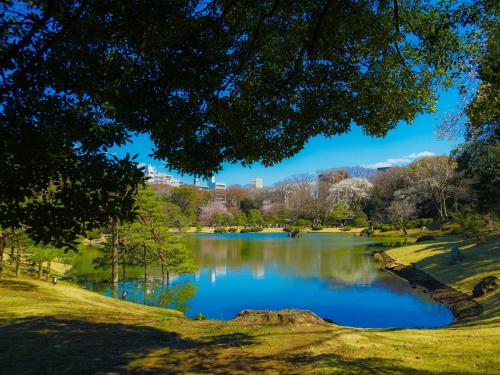 Nearby attraction, APA Hotel Komagome Ekimae in Sugamo Nearby attraction, APA Hotel Komagome Ekimae in Sugamo