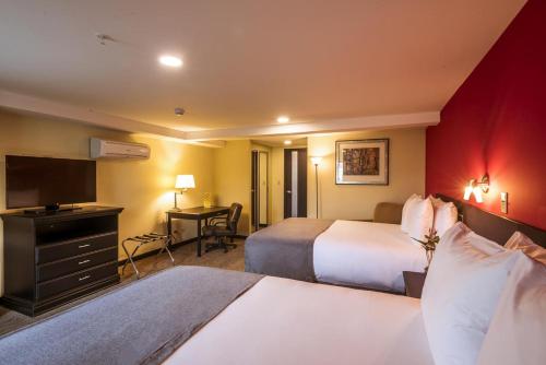 Urban Green Hotel & Suites in San José Urban Green Hotel & Suites in San José