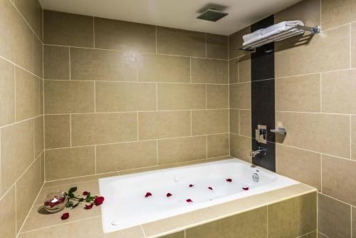 Urban Green Hotel & Suites in San José Urban Green Hotel & Suites in San José