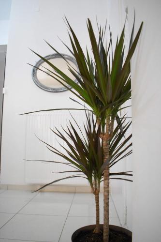Entrance, 4SEASONS Apartment in Thiva Entrance, 4SEASONS Apartment in Thiva