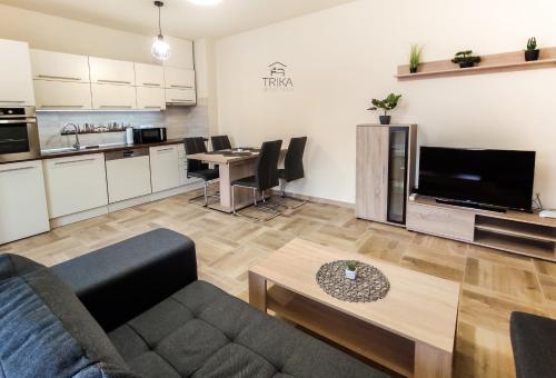 Trika Apartman in ペトゥーフィ シャンドル ラコテレプ Trika Apartman in ペトゥーフィ シャンドル ラコテレプ