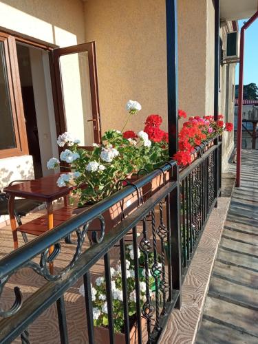 阳台/露台, White Hotel Guesthouse in 祖格迪迪 阳台/露台, White Hotel Guesthouse in 祖格迪迪