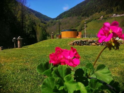 Chalet Cuore Selvatico in Monno Chalet Cuore Selvatico in Monno