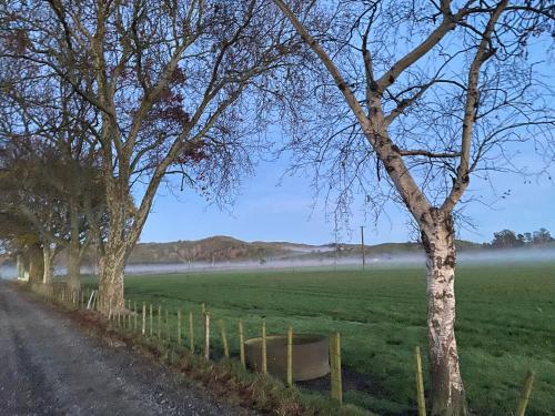 The Cottage @ Aranui in ไวรัว The Cottage @ Aranui in ไวรัว