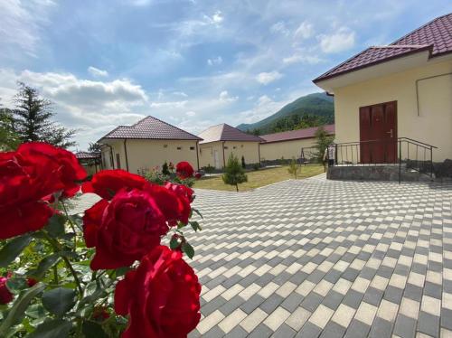 Alp Hotel in แค็กซ์ Alp Hotel in แค็กซ์