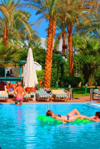Piscina, Falcon Hills in Sharm El Sheikh Piscina, Falcon Hills in Sharm El Sheikh