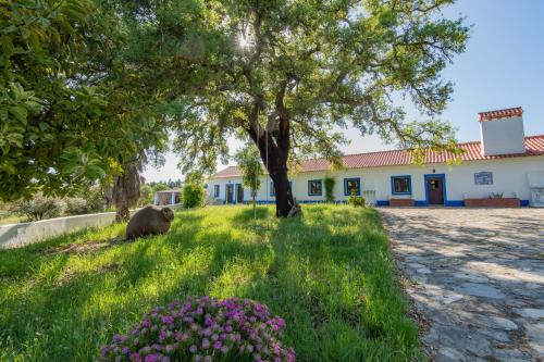 مدخل, MyStay - Herdade do Vale da Abelheira in سينيس مدخل, MyStay - Herdade do Vale da Abelheira in سينيس