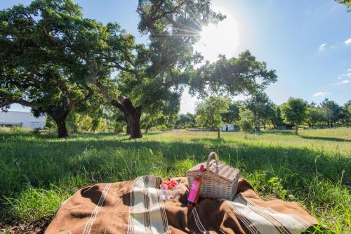 حديقة, MyStay - Herdade do Vale da Abelheira in سينيس حديقة, MyStay - Herdade do Vale da Abelheira in سينيس