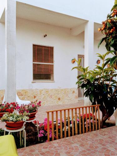 B&B Fenice Barocca