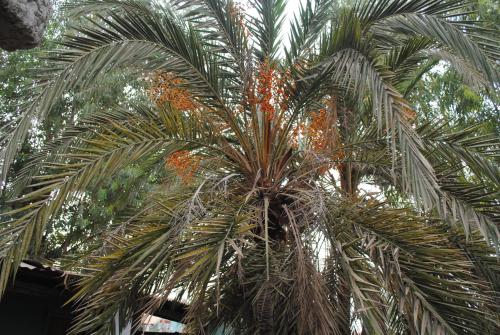 Rainbow beach resort in Sanyang Rainbow beach resort in Sanyang