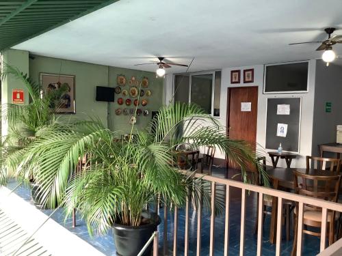 Facilities, Hotel Dona Carmen in Retalhuleu Facilities, Hotel Dona Carmen in Retalhuleu