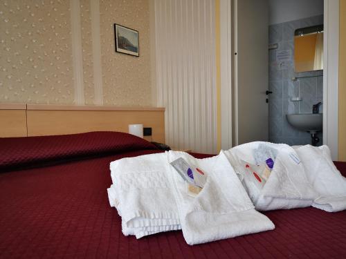 Hotel Aquavite in Gardone Riviera Hotel Aquavite in Gardone Riviera